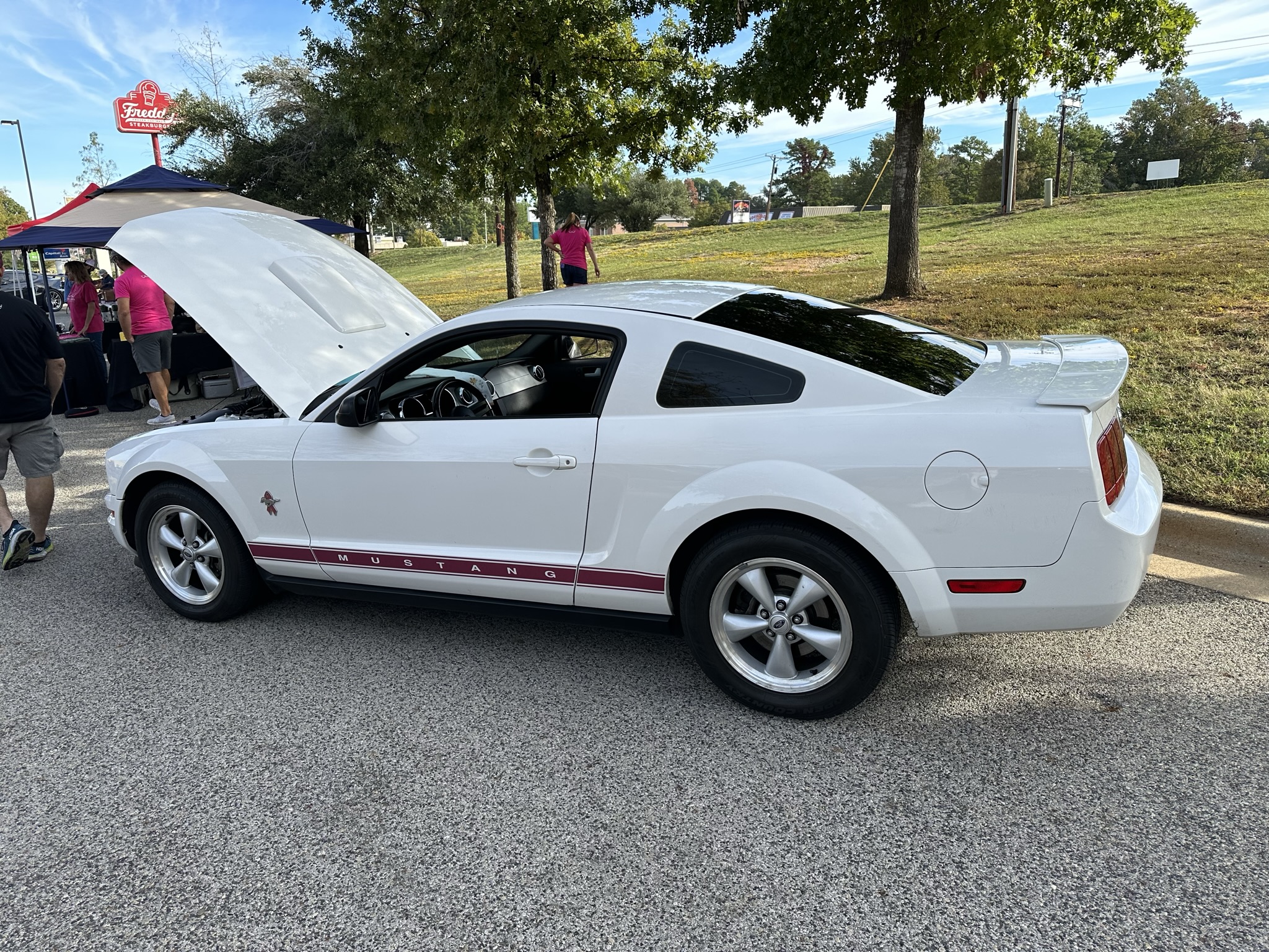 2008 Warriors in Pink Mustang